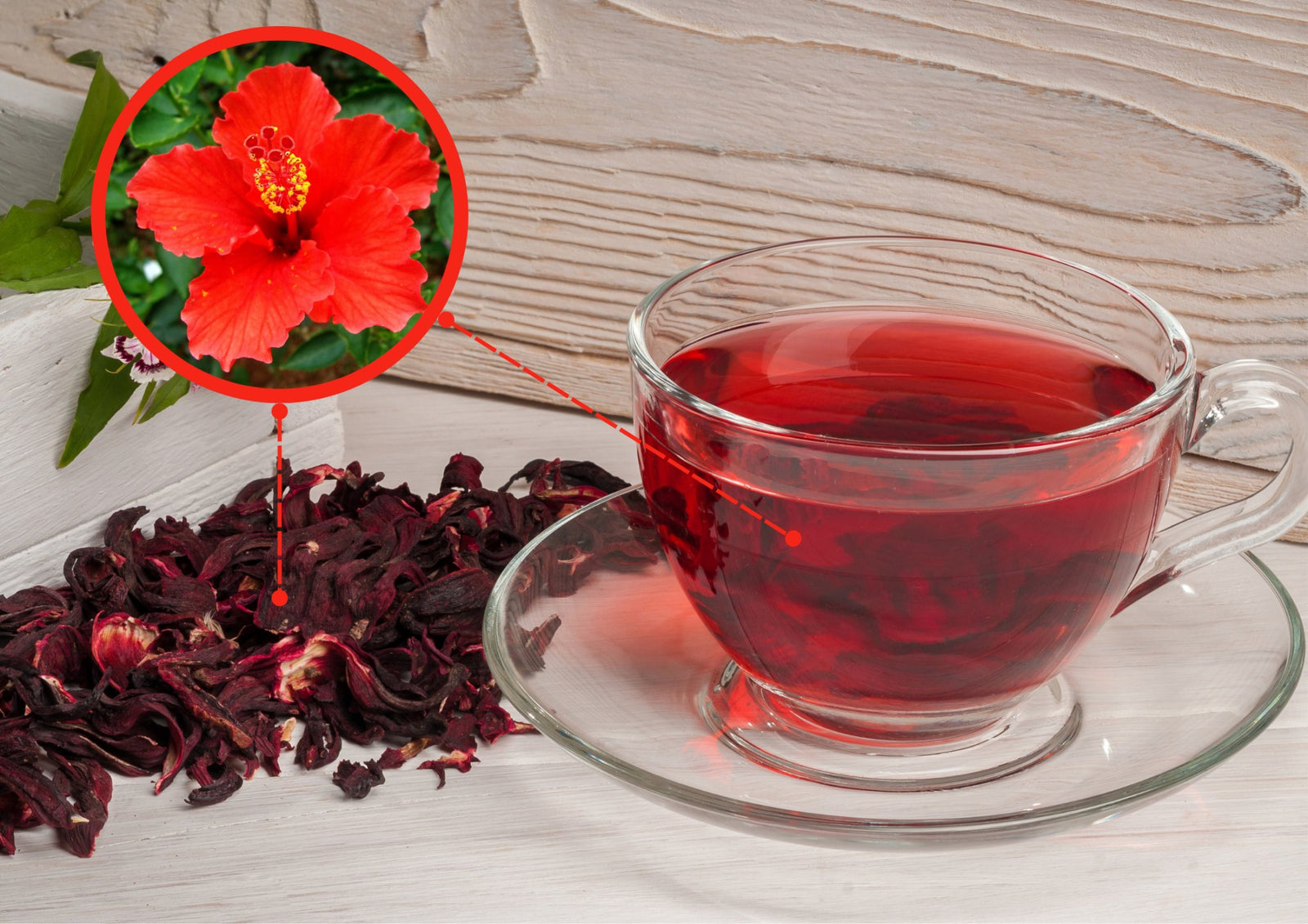 Discover the Blood Pressure - Lowering Benefits of Hibiscus Tea - 120/Life