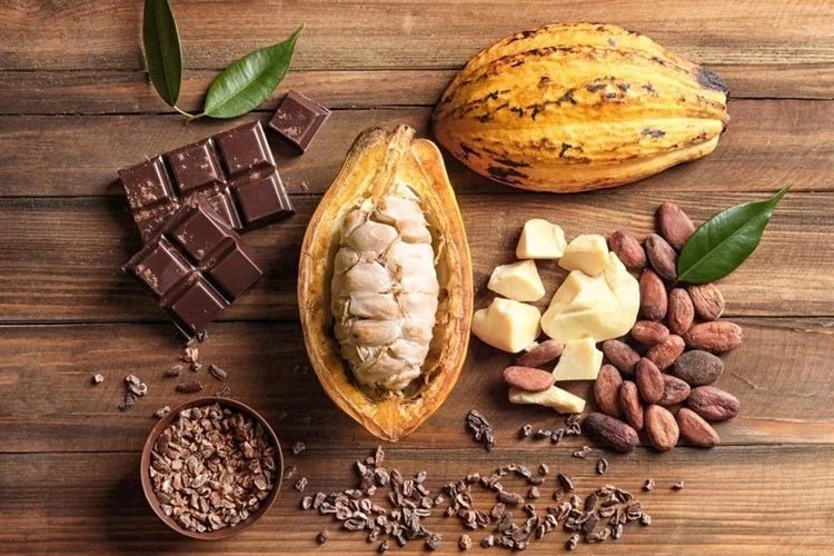 Chocolate Lovers Rejoice: How Cocoa Can Help Lower Blood Pressure - 120/Life