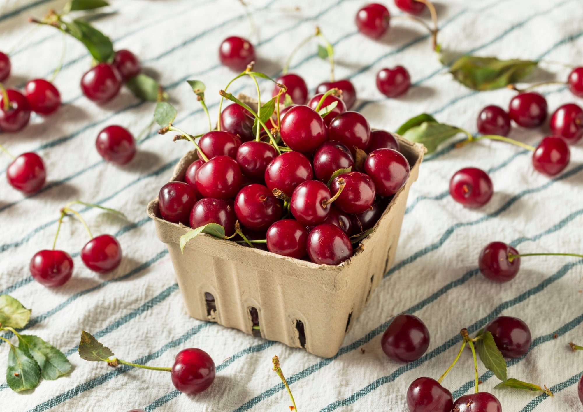 The Surprising Benefits of Tart Cherries for Blood Pressure Health - 120/Life