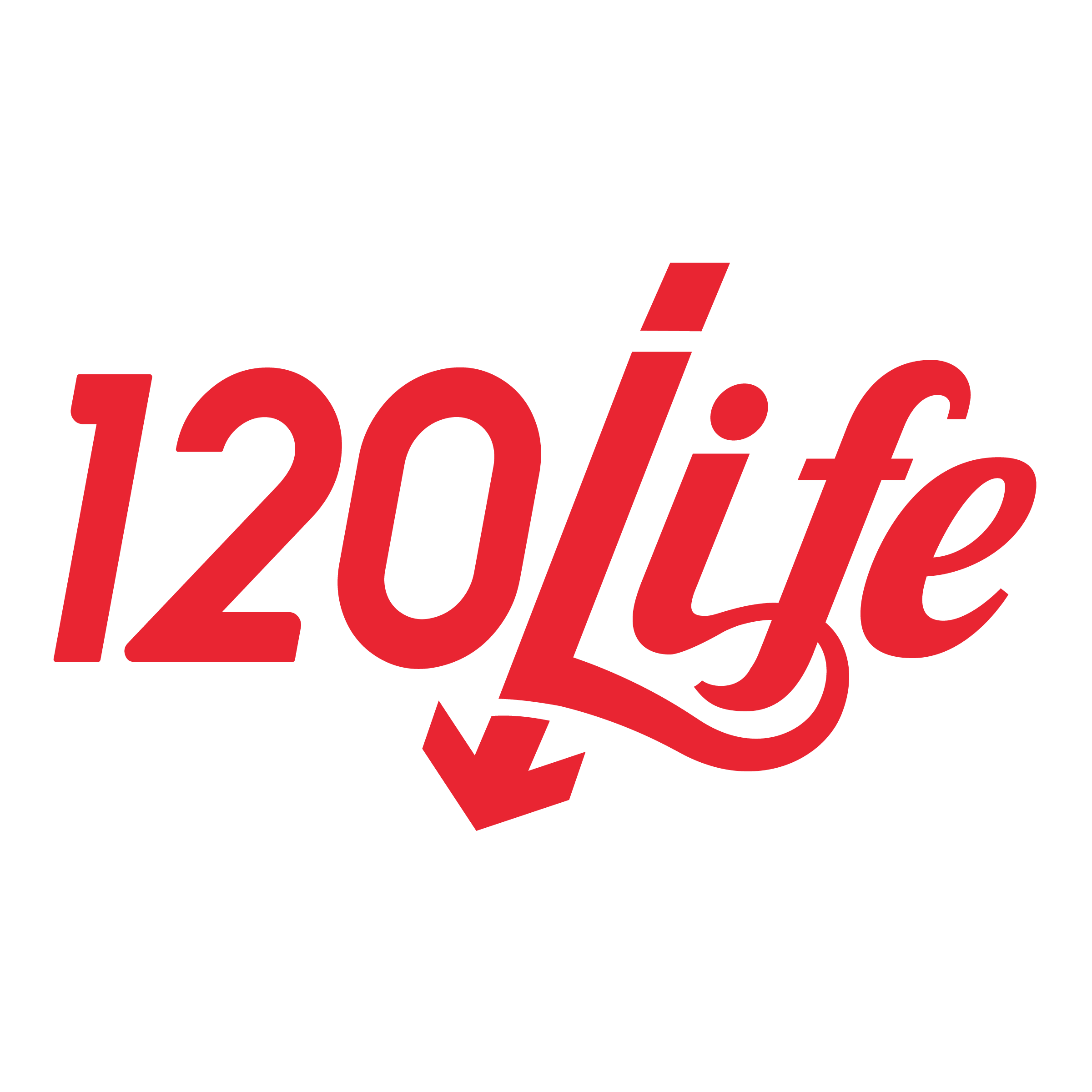 120life.com logo